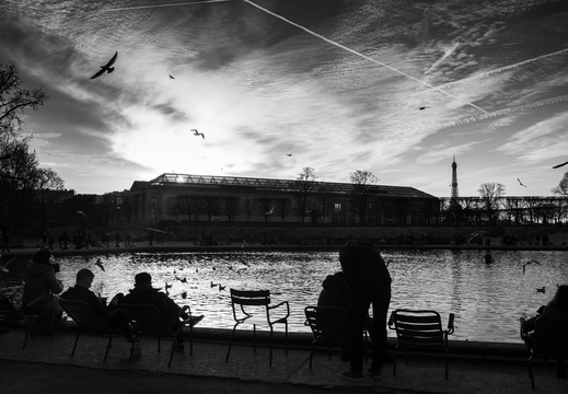 Contre jour